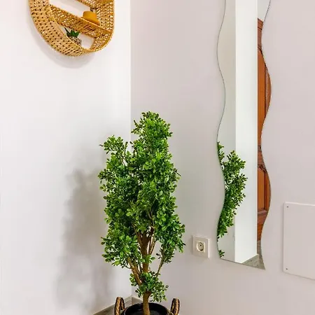 Apartment Wintowinrentals Your Steps From The Center Malaga